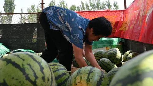 西门桥下吃瓜人,见证人间百态的“吃瓜”人生