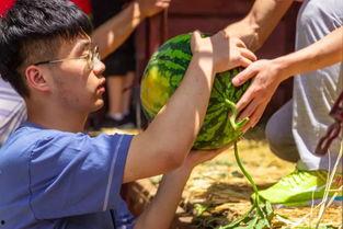 沈阳 大学 吃瓜,沈阳大学校园吃瓜事件揭秘