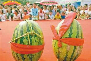 游客吃瓜,一场舌尖上的夏日狂欢