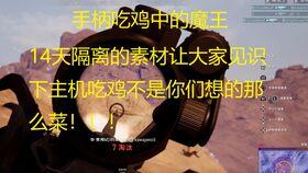 呆瓜的日常吃鸡,欢乐吃鸡，笑料连连