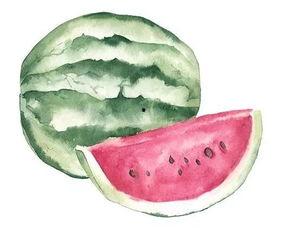 看花和吃瓜的区别,瓜田李下品人生——看花与吃瓜的别样风情