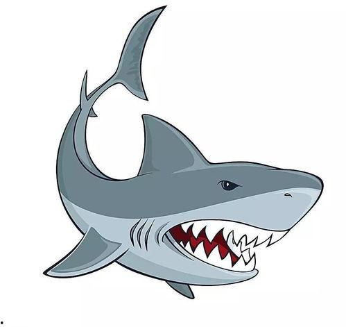 粉色吃瓜鲨鱼头像,揭秘海洋界的时尚潮人