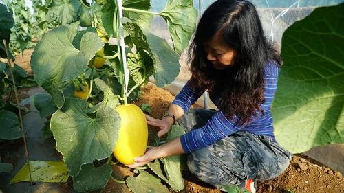 带你吃瓜古诗改编,品味古诗中的瓜香四溢