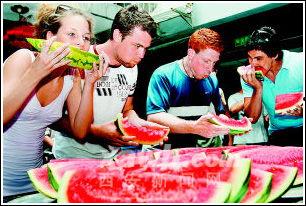 老外吃瓜机器,全球视角下的娱乐现象解析