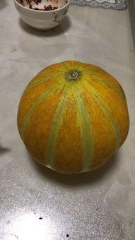 怀孕一个月可以吃瓜吗,孕妇可以放心吃瓜吗？