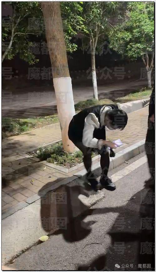 学校长椅事件吃瓜,一场意外引发的校园热议