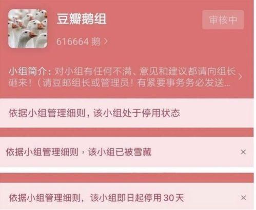 豆瓣吃瓜账号,娱乐圈幕后那些事儿