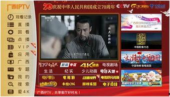 安心吃瓜视频,揭秘热门视频背后的真实故事