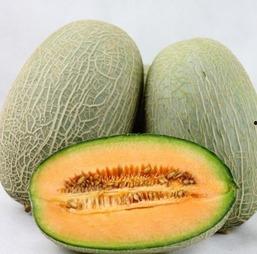 减肥吃的哈密瓜是什么瓜,揭秘美味与健康的完美结合