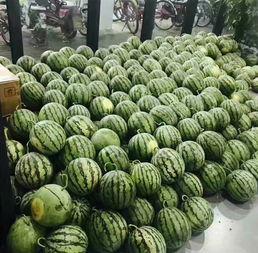 吉林校园吃瓜事件,揭秘校园网络暴力的阴影面