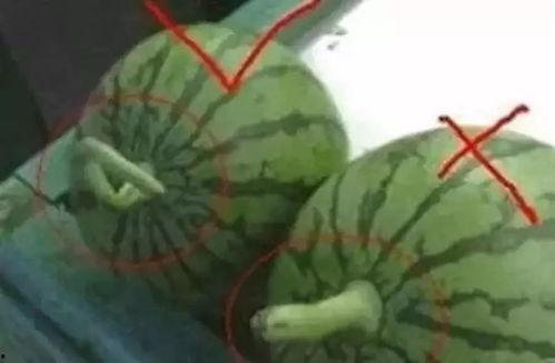 吃瓜一挑二,揭秘娱乐圈背后的精彩故事