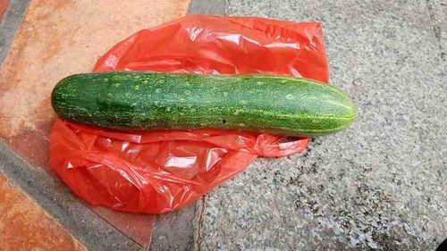 瓜可以煮熟吃不,探索瓜类烹饪新境界